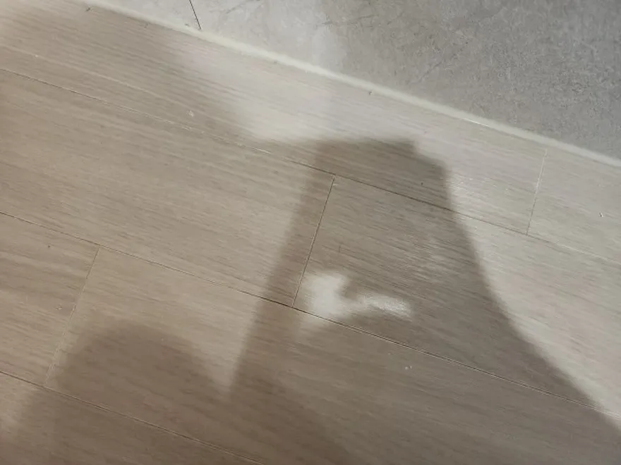 마루·벽지 부분 보수